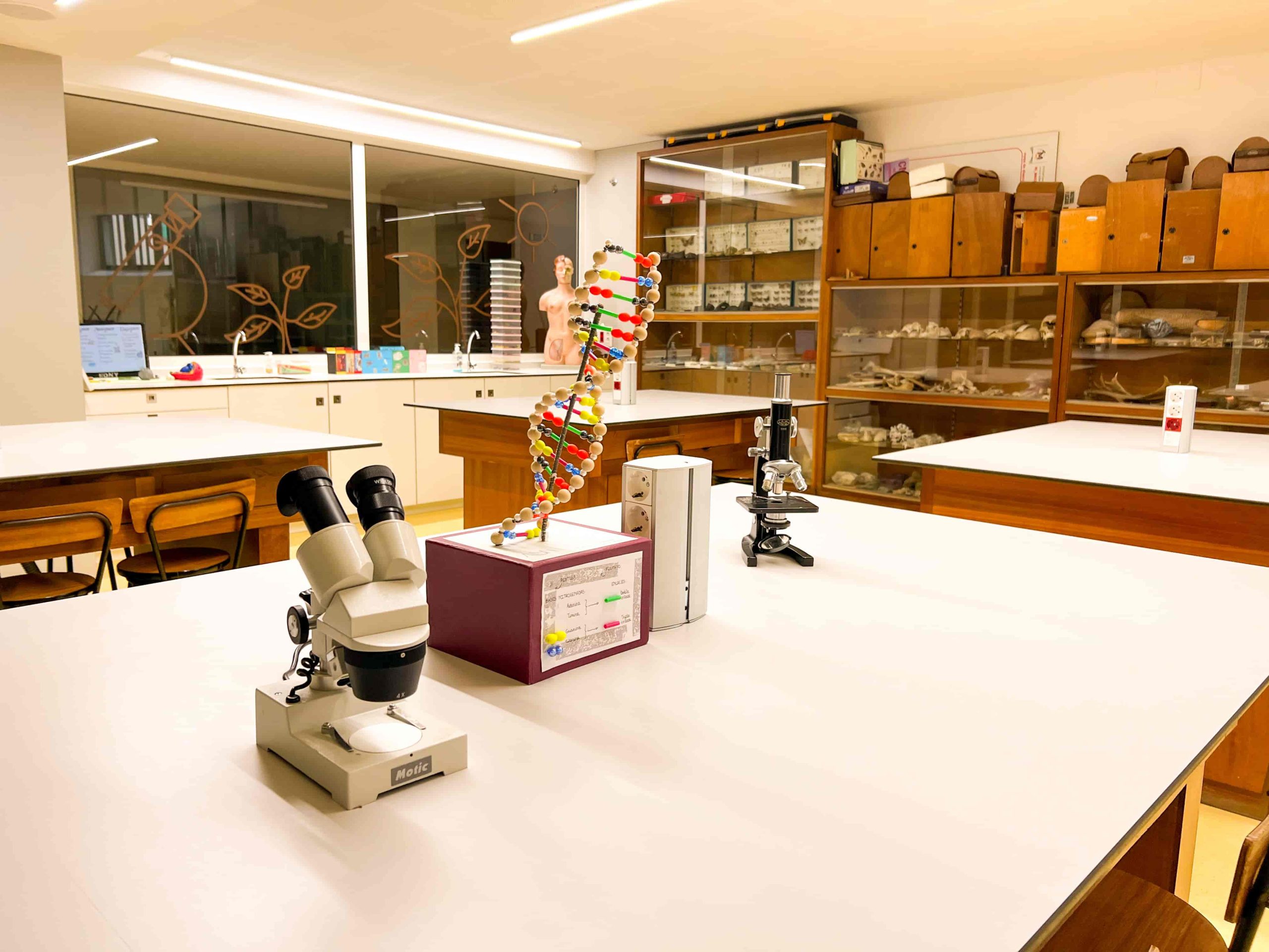 Laboratorio